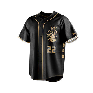Leones de Santo Domingo versión Beisbol