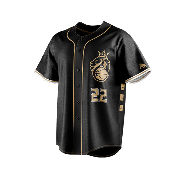 Leones de Santo Domingo versión Beisbol –