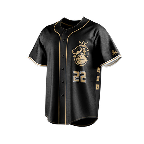 Leones de Santo Domingo versión Beisbol